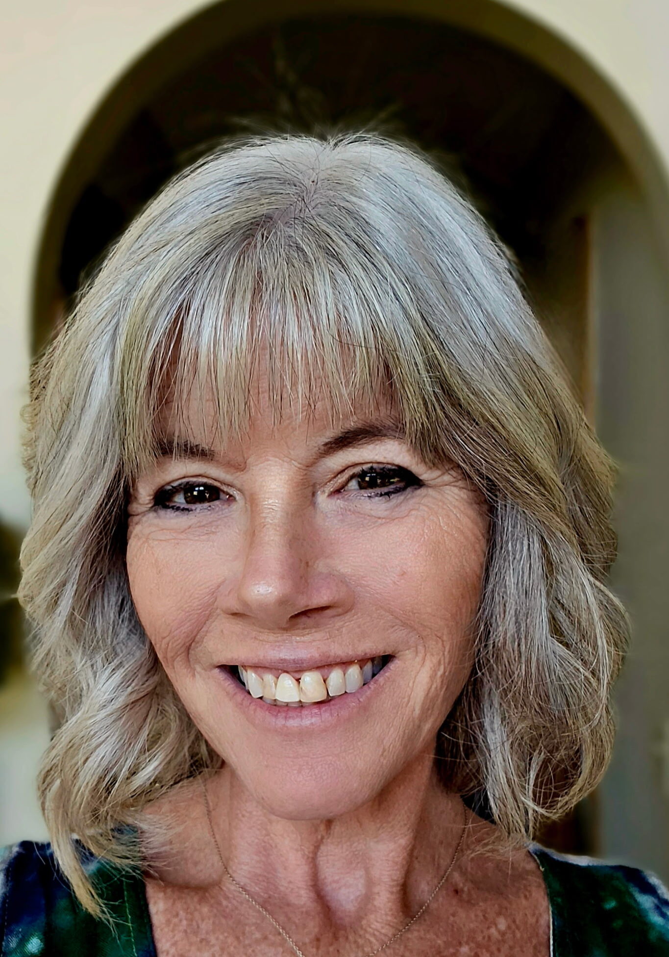 Renee Cencer picture. Middle aged woman with grey hair, smiling